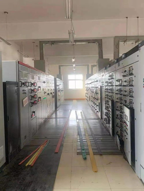 守護綠水青山 走進海西州格爾木市污水處理廠的環(huán)保開放日