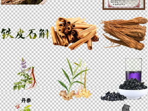 中草藥的視覺盛宴 探索中醫養生藥材高清素材的價值與應用